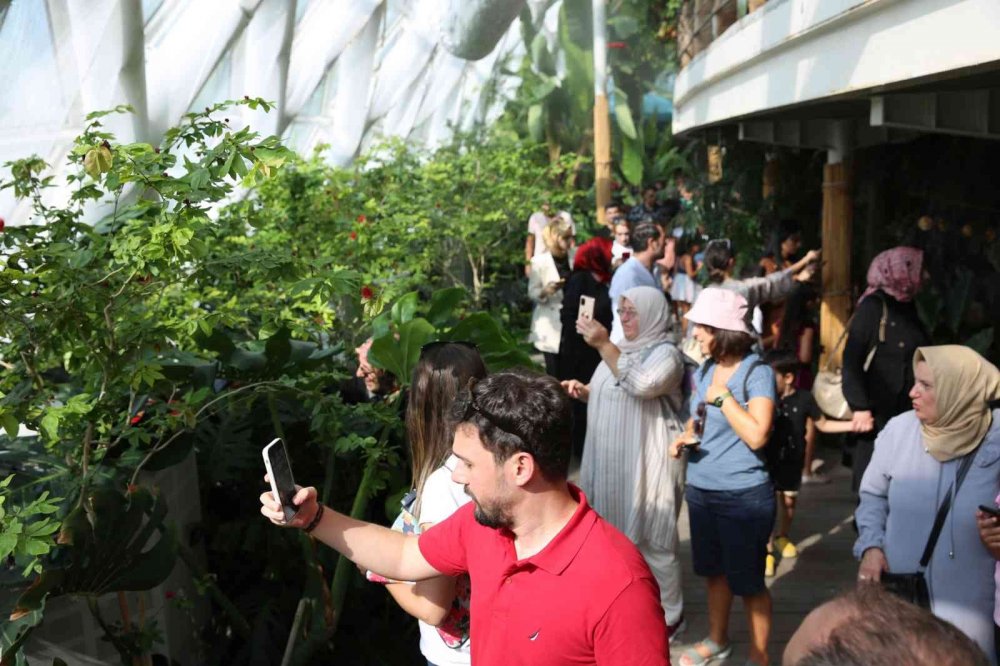 Konya Tropikal Kelebek Bahçesini ziyaret eden kişi sayısı açıklandı