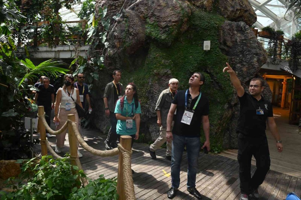 Konya Tropikal Kelebek Bahçesini ziyaret eden kişi sayısı açıklandı