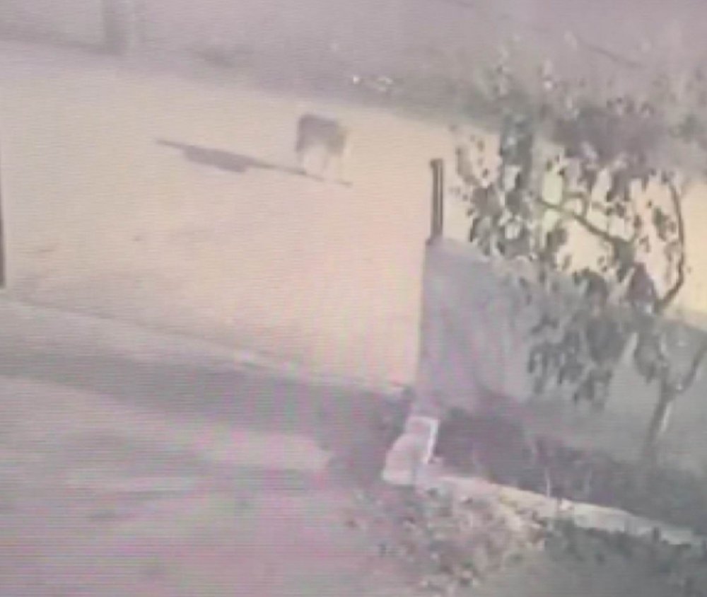 7 yıl önce kadını parçalamış... Çocukların okula gittiği sırada Konya'da görüntülendi!