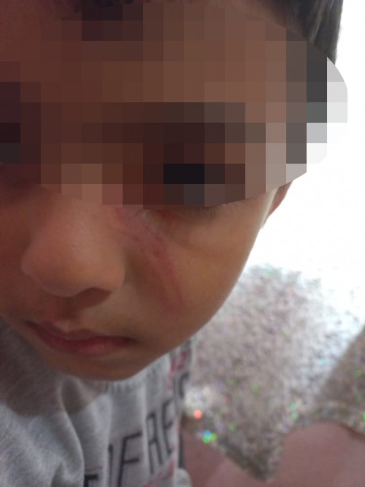 Bunlar nasıl anne baba?