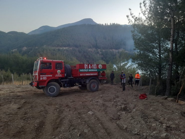 Osmaniye’de orman yangını çıktı