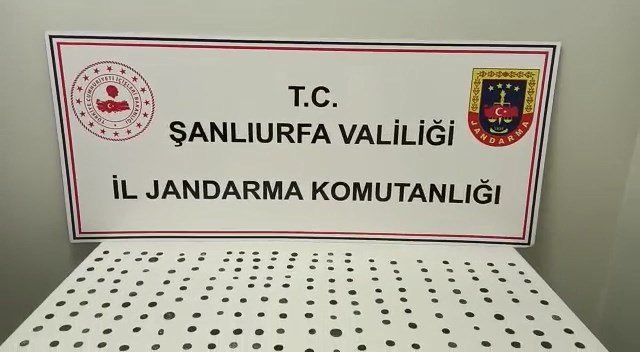 Şanlıurfa’da, 224 sikke ele geçirildi