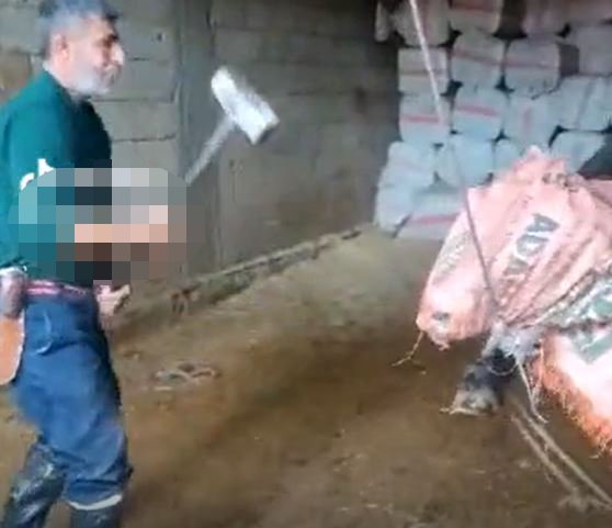 Vahşetin ayrıntıları... Önce taşla vurmuş, sonra balyozla