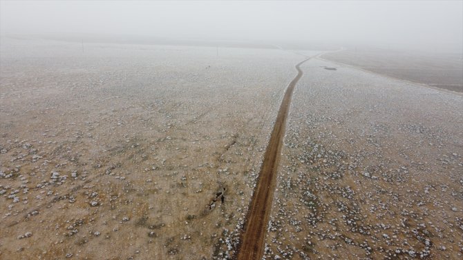 Konya Ovası'nda büyük tehlike! 5 ilçede görüldü