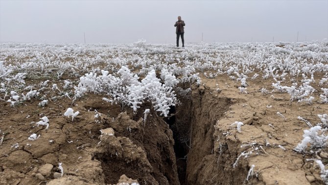 Konya Ovası'nda büyük tehlike! 5 ilçede görüldü