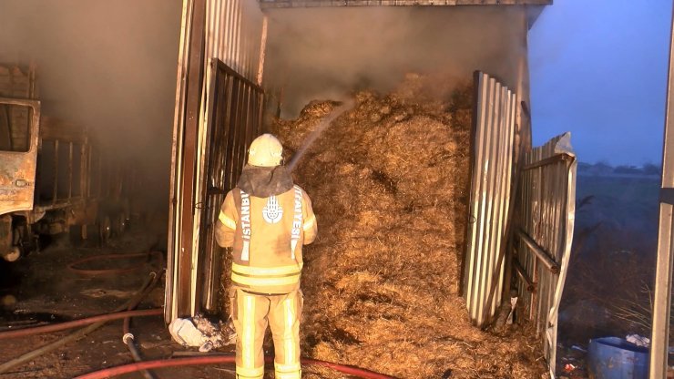 Ahır yandı, büyükbaş hayvanlar telef oldu