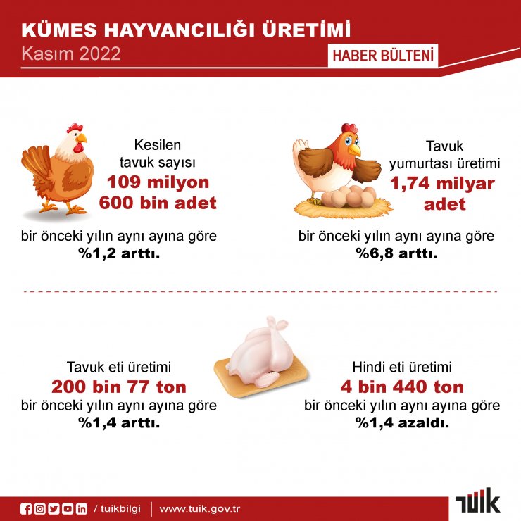 Yumurta ve tavuk eti üretimi arttı