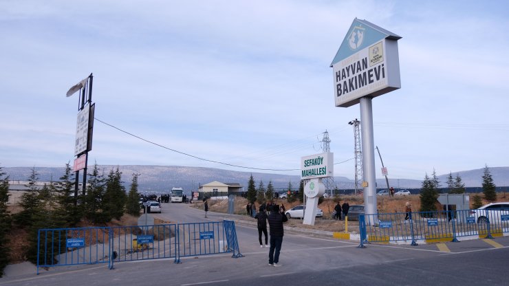 Konya'daki barınak vahşetinde bir ret daha