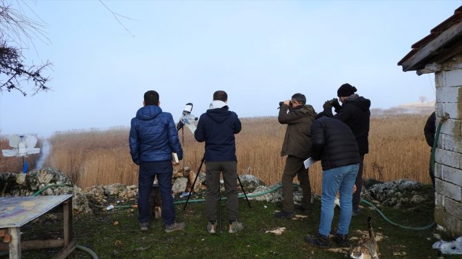 Beyşehir Gölü'nde kış ortası su kuşu sayımı tamamlandı