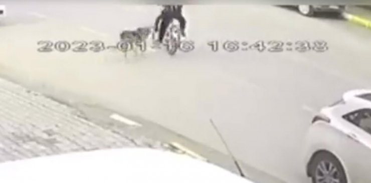 Köpekten kaçan 16 yaşındaki bisikletli çocuğa araba çarptı