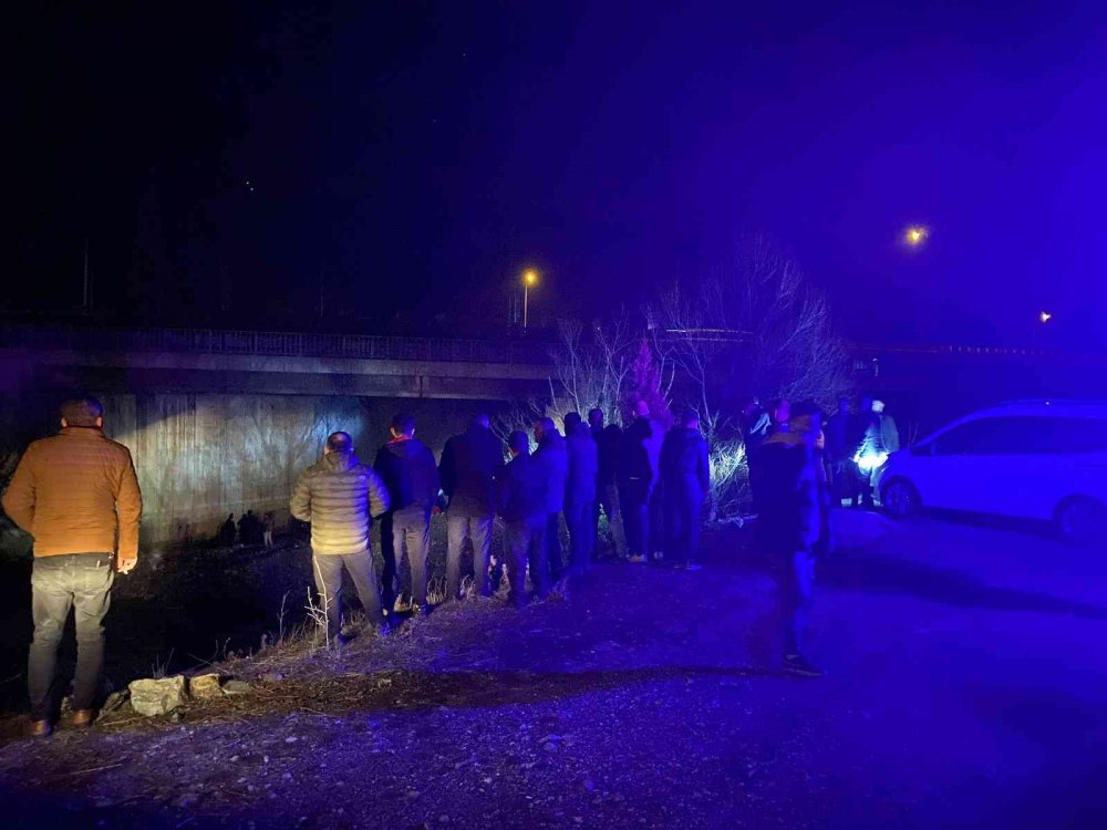 Kontrolden çıkan otomobil çaya uçtu