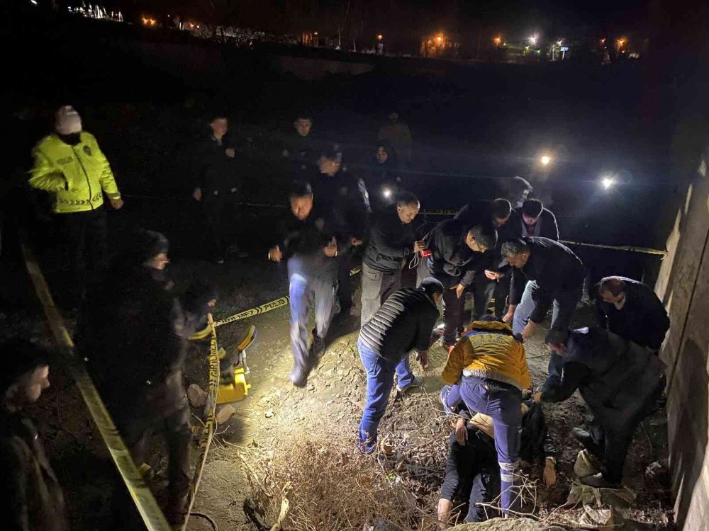 Kontrolden çıkan otomobil çaya uçtu