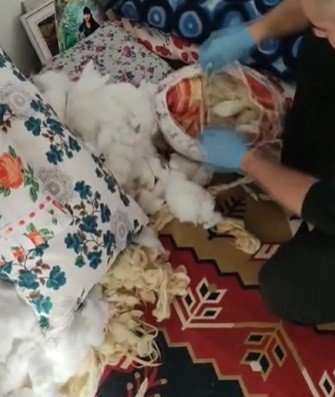 Konya’da içi yün dolu yastıktan bakın ne çıktı!