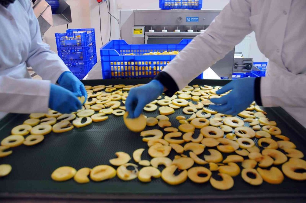 Konya'da sadece kadınların görev yapacağı meyve kurutma tesisi kuruldu