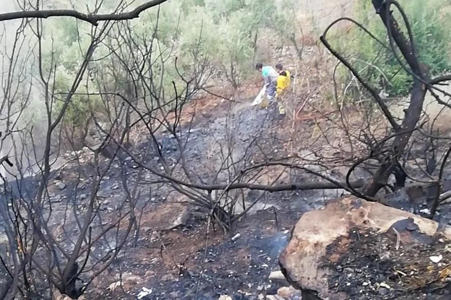 Yangından etkilenen kaplumbağaya ekiplerden can suyu
