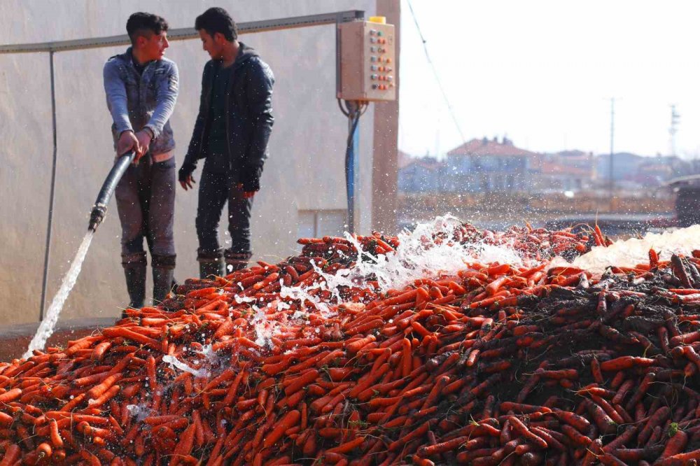 Günde 5 bin ton üretiliyor, Türkiye'nin yüzde 65'ini Konya karşılıyor!