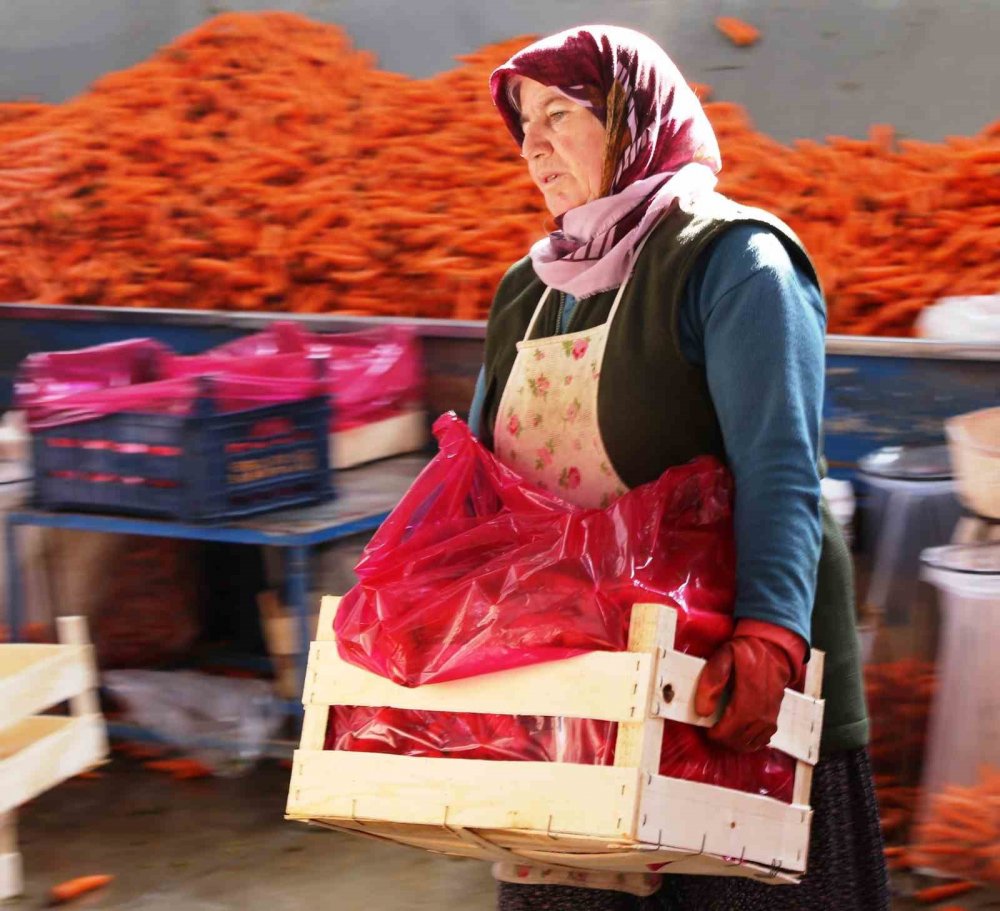 Günde 5 bin ton üretiliyor, Türkiye'nin yüzde 65'ini Konya karşılıyor!