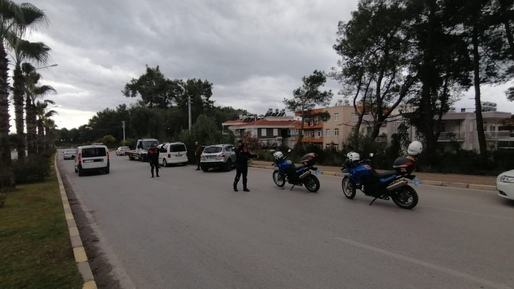 Kontrolden çıkan araç, ağacı yerinden söktü