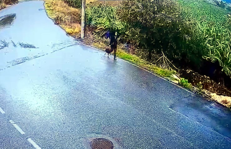 68 gündür kayıp Seda Nur için yeniden arama çalışması başlatıldı