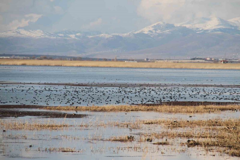 Konya ile ilgili korkutan uyarı! Eğer Beyşehir Gölü kurursa...