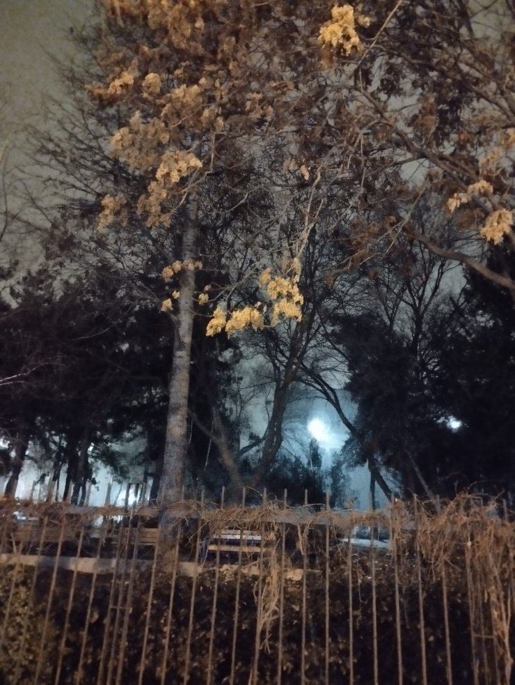 Ankara'da kar yağışı başladı