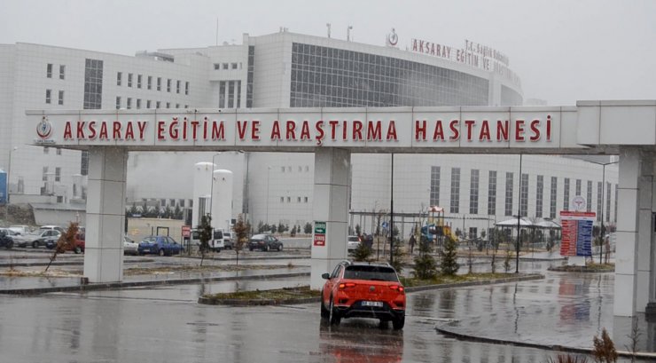 Koyun otlatan Kemal, pitbull saldırısında yaralandı