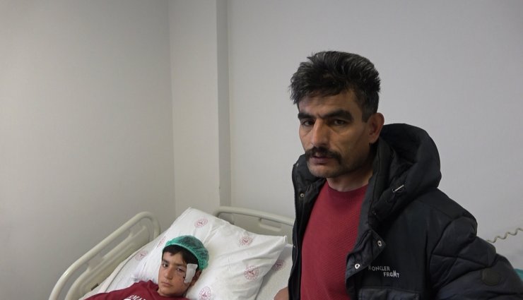 Koyun otlatan Kemal, pitbull saldırısında yaralandı