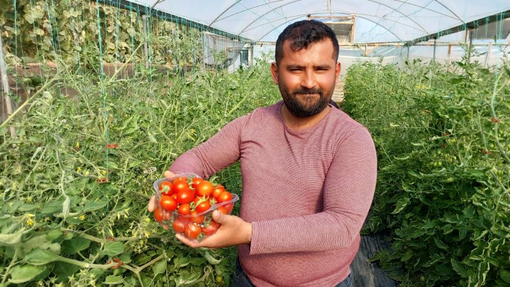 Dalında 17, pazarda 25 lira