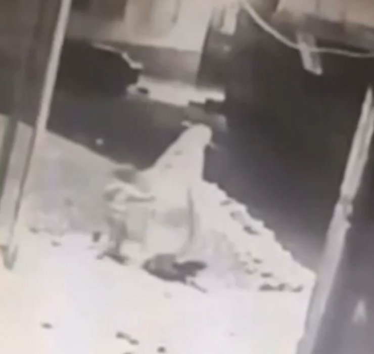 Kızını boğarak öldüren anneden şok açıklama