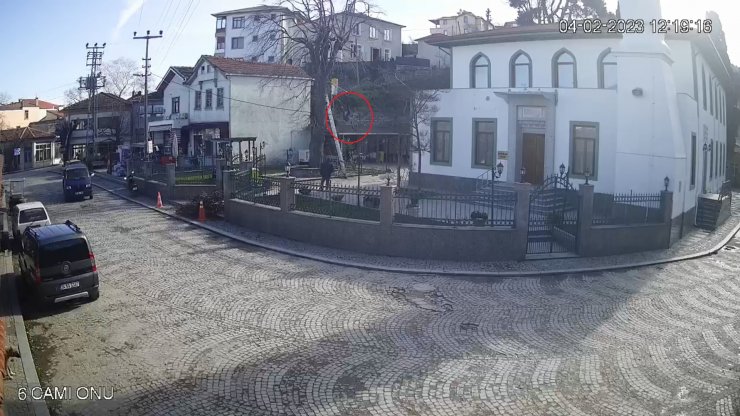 Budamak için çıktığı ağaçtan düşüp öldü