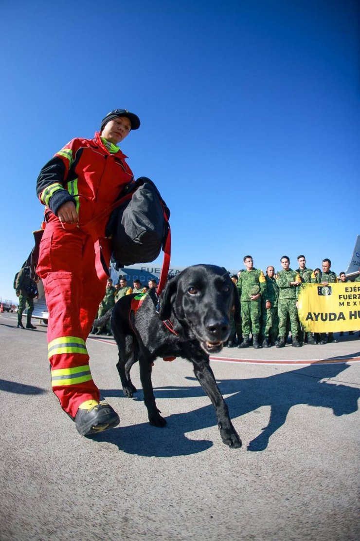 Meksika arama-kurtarma ekibi Türkiye’de