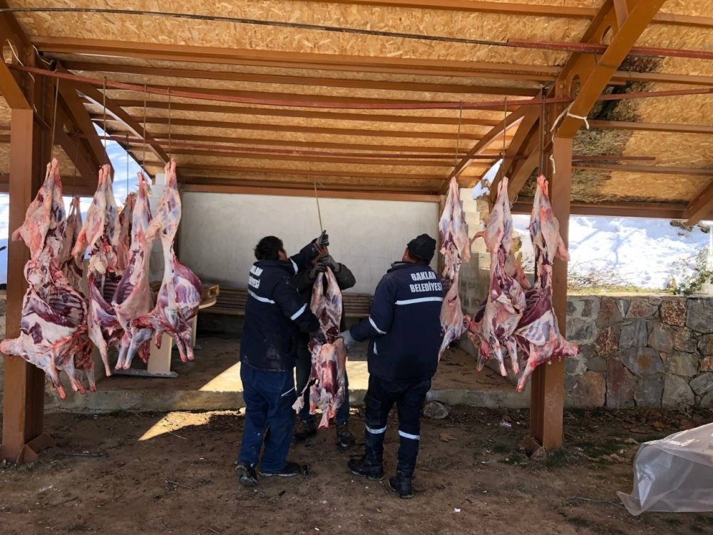 Kestikleri 70 küçükbaşı deprem bölgesine gönderiyorlar