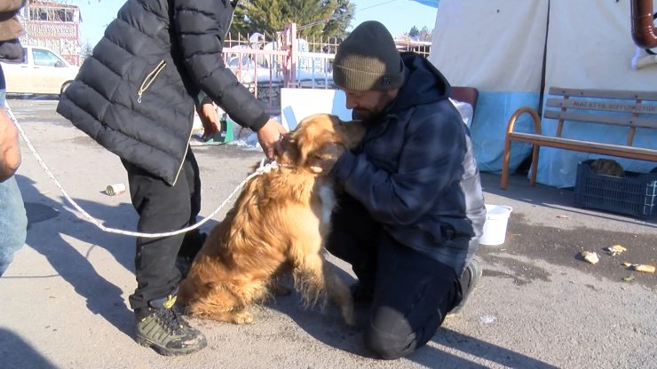 Depremin gönüllü kahramanları; enkazdan 5 gün sonra kurtarılan köpek, köyün umudu oldu