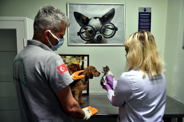 Osmanlı döneminde kuruldu, 200 yıldır hayvanlara şifa oluyor