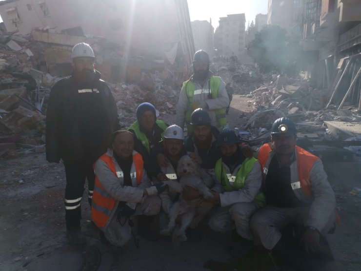 Madenciler, enkaz altındaki köpeği 204'üncü saatte kurtardı