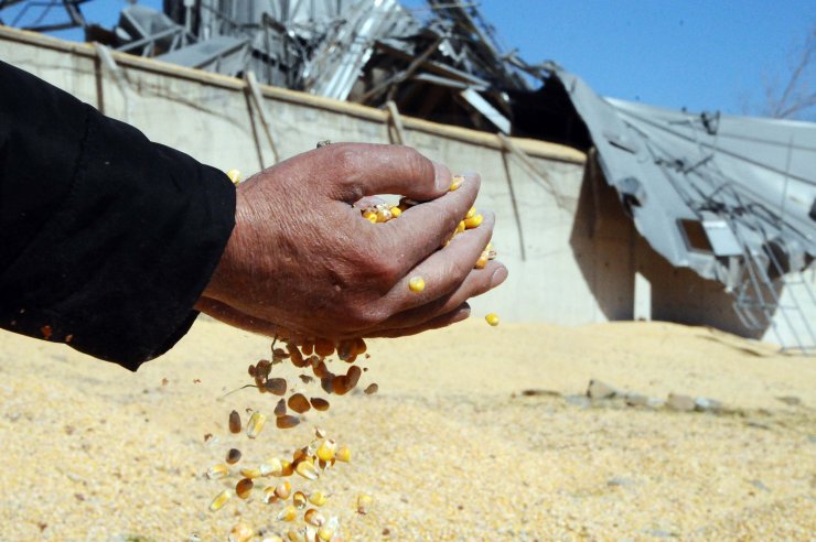 Depremde TMO'nun siloları da yıkıldı; tonlarca mısır çevreye saçıldı
