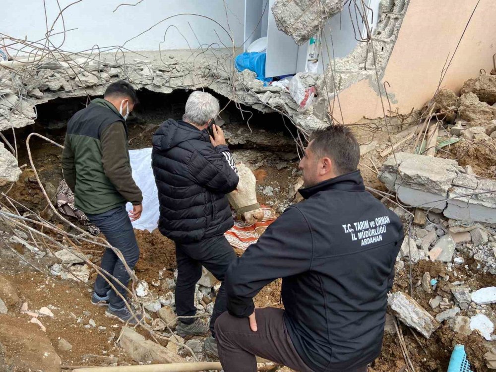 ’Asi’ 15 gün sonra kurtarıldı