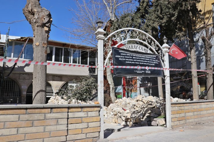 400 yıllık çınar ağacı, depremde yıkılmadı