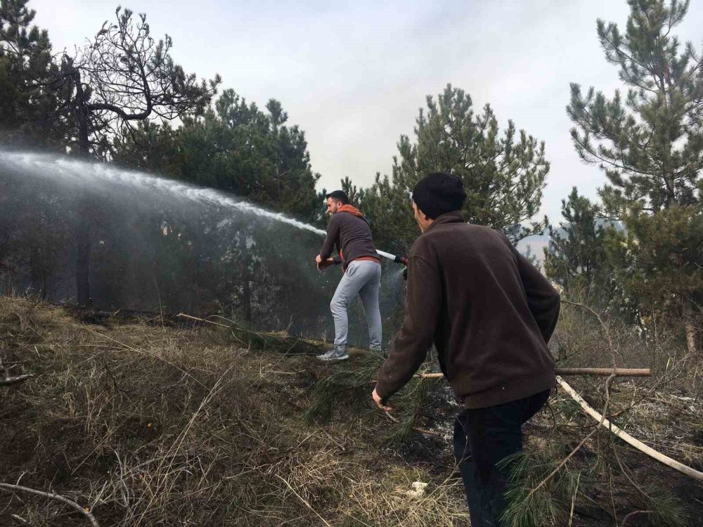 Topladığı çöpleri yakmak isterken ormanı yaktı