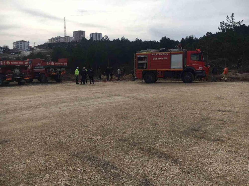 Topladığı çöpleri yakmak isterken ormanı yaktı