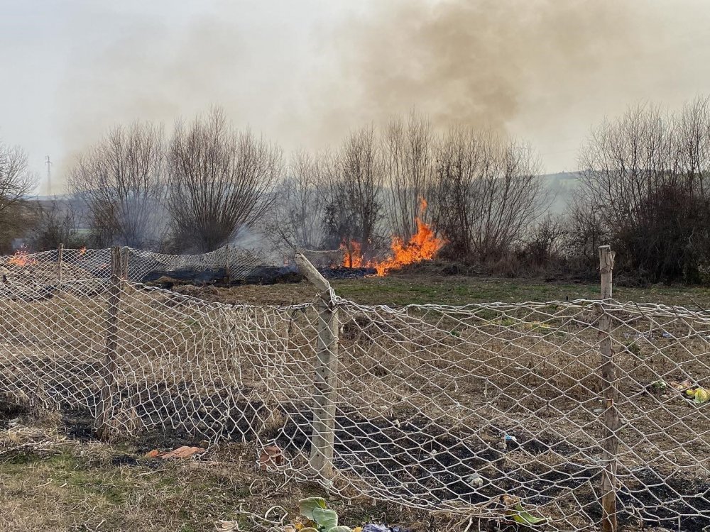Hayvan çiftliğinde yangın