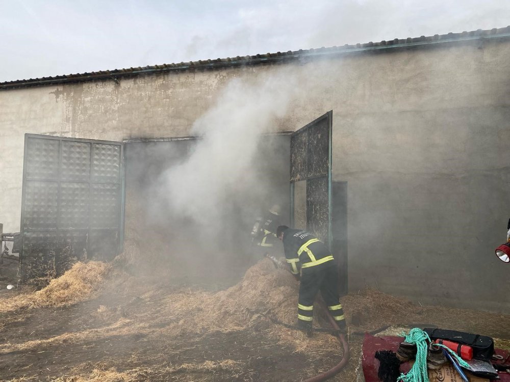 Hayvan çiftliğinde yangın