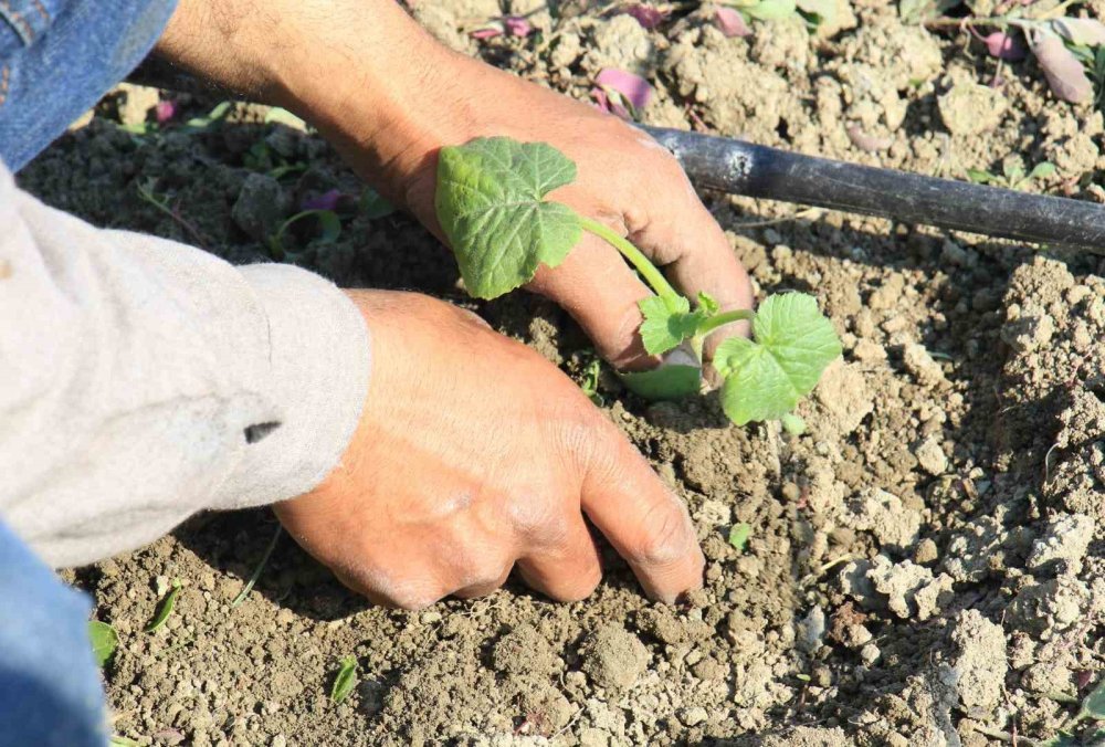 "İstanbul'da, Antalya'da, Konya'da kimse kalmamış"