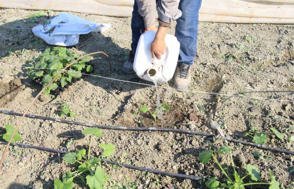 "İstanbul'da, Antalya'da, Konya'da kimse kalmamış"