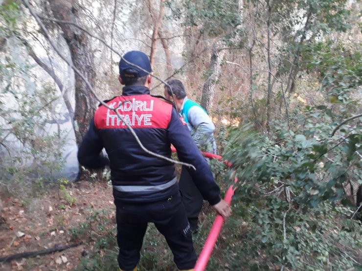 Osmaniye'de orman yangını