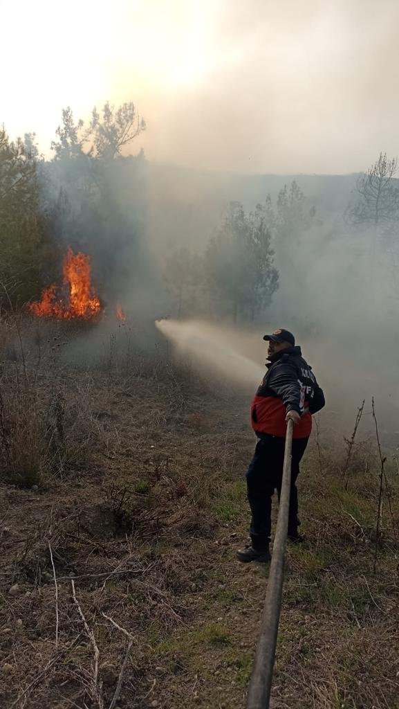 Osmaniye'de orman yangını