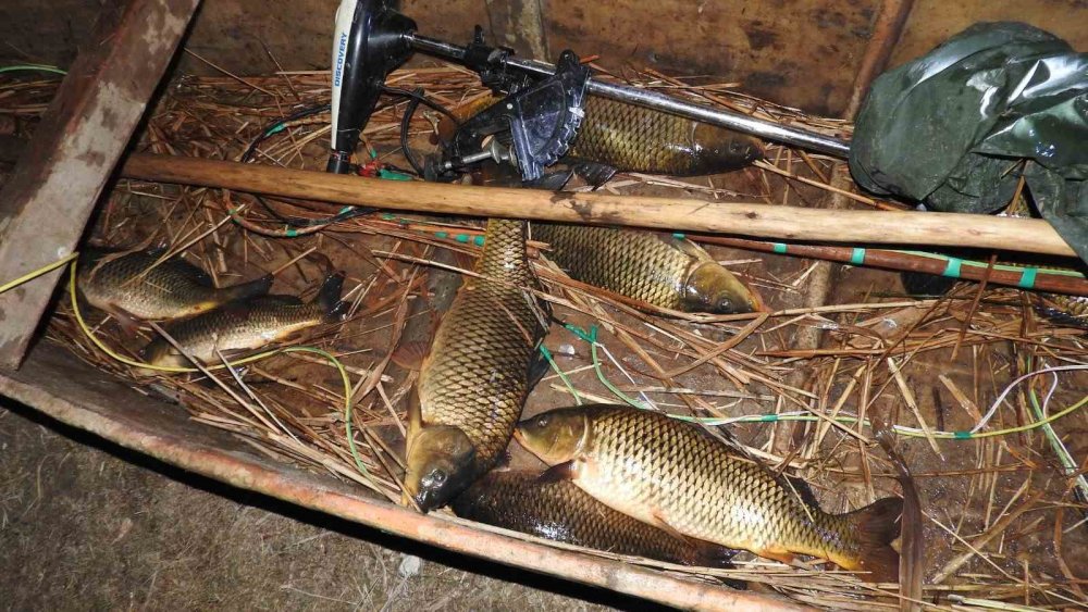 Konya’da elektroşokla balık avına ceza yağdı