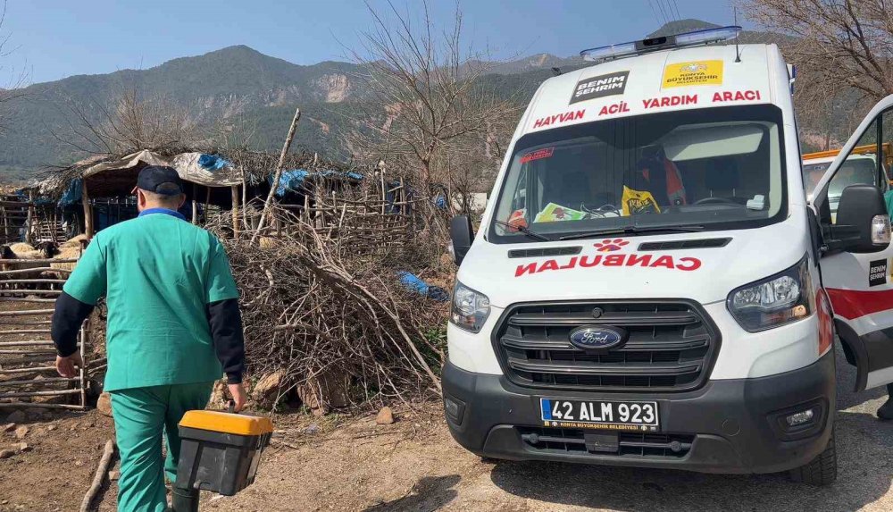 Konya Büyükşehir'den Hatay’daki üreticilere destek