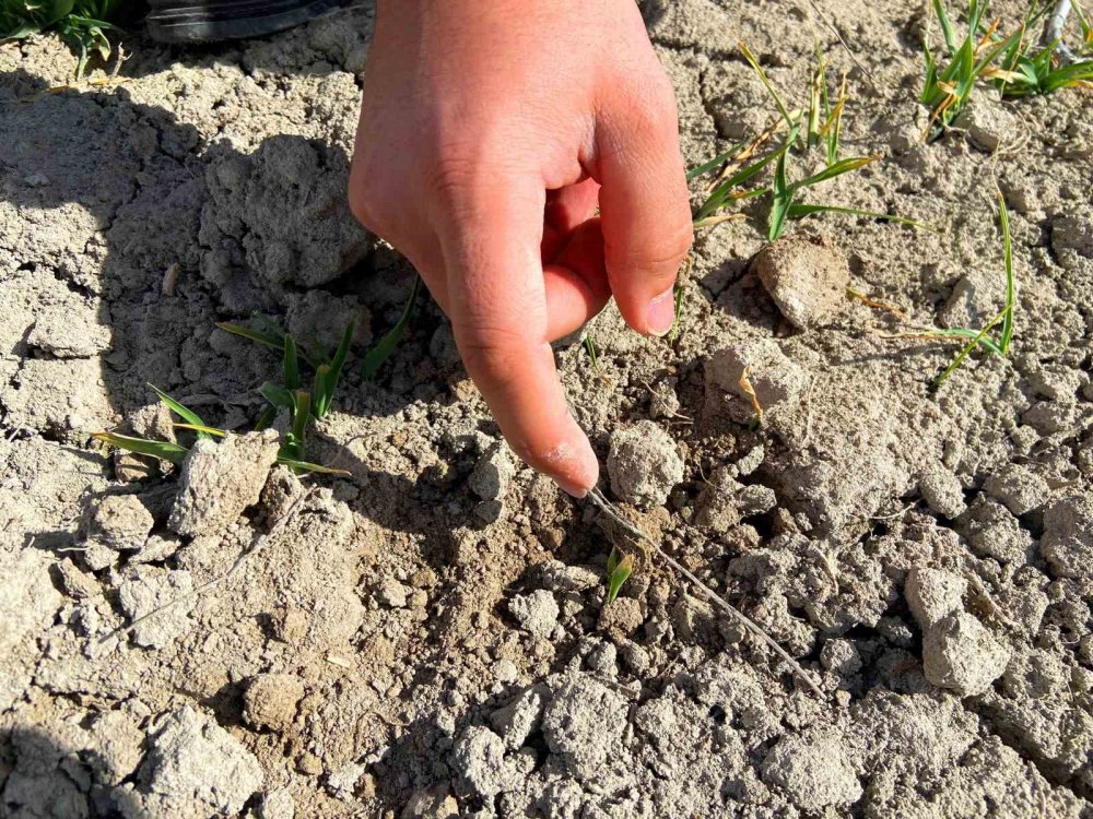 Konya için korkutan senaryo! Yarıdan fazla azaldı