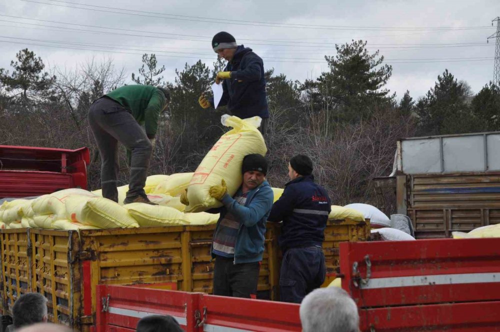 Duyan geldi, bir saat içinde bitti!